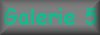 Galerie 5