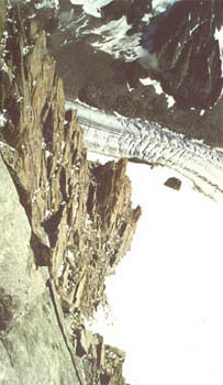 bianco3.jpg (19329 byte)