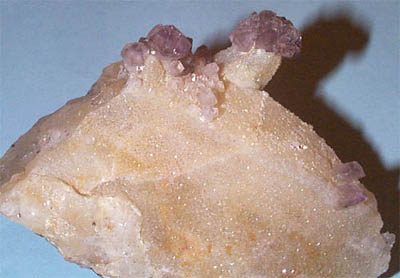 c102.jpg (21693 byte)