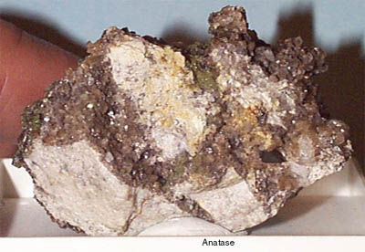 c108.jpg (28727 byte)