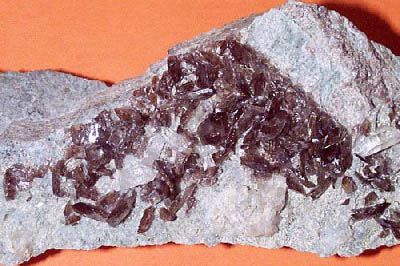 c264.jpg (37828 byte)