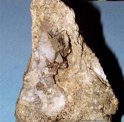 c525.jpg (36934 byte)