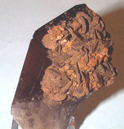 c534.jpg (35663 byte)