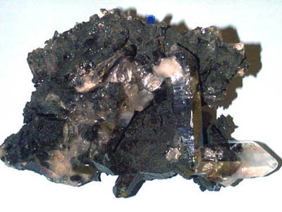 c538.jpg (33797 byte)