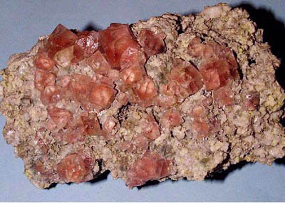 c542.jpg (36767 byte)